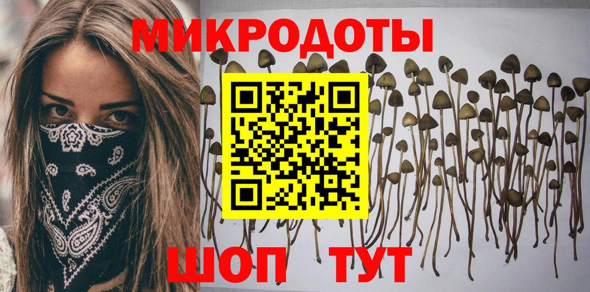 Вологда  Галлюциногенные грибы Psilocybine cubensis  Вход с VPN 