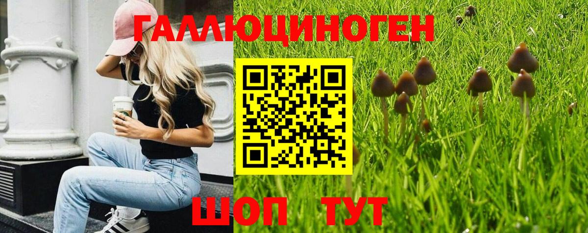 Галлюциногенные грибы MAGIC MUSHROOMS Вологда